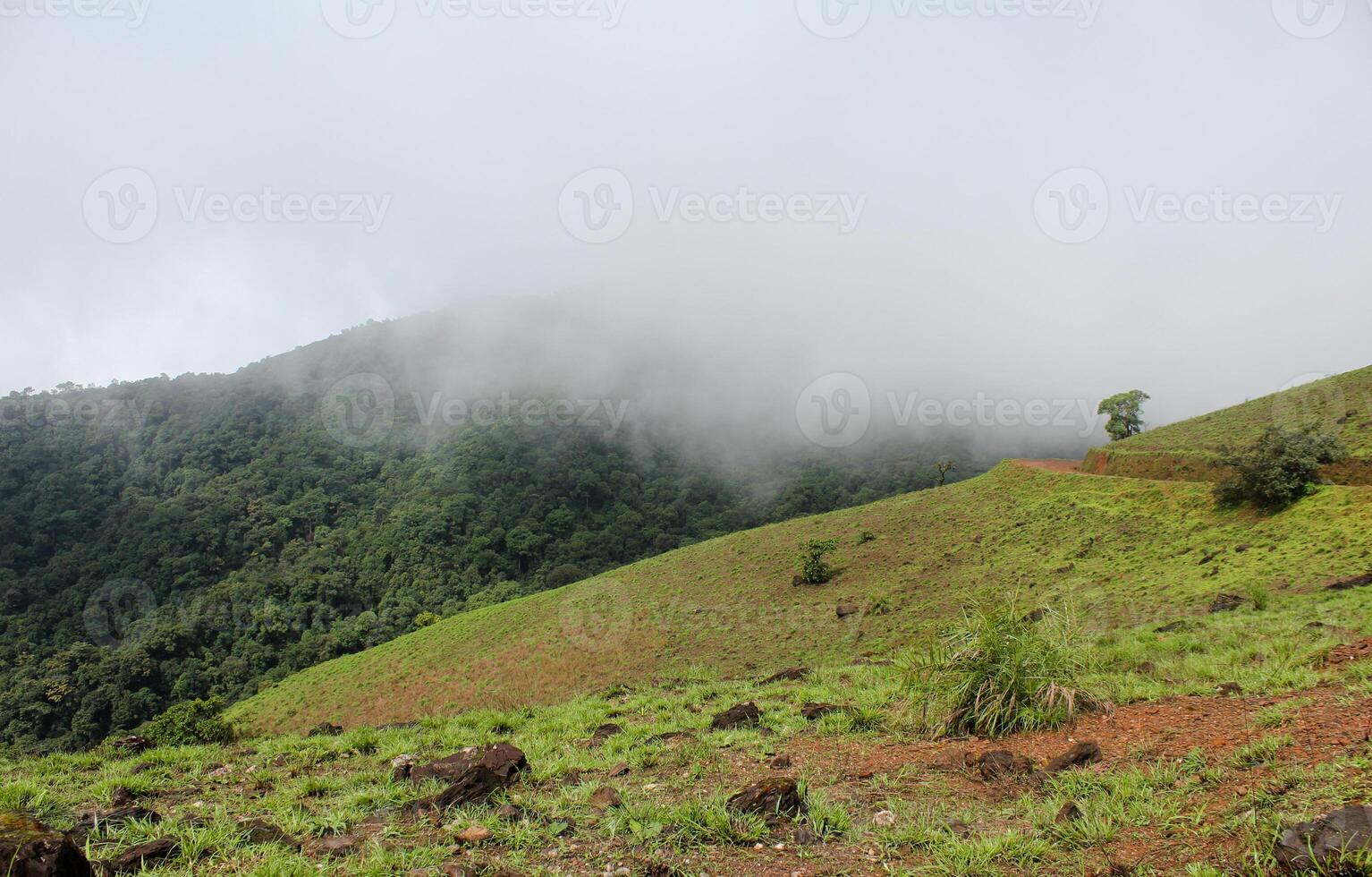 Misty Mountain on Rainy Day photo