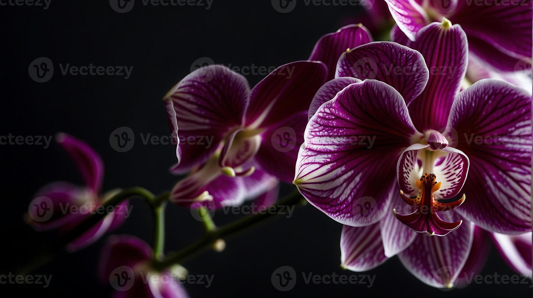 ai generado orquídea flor en un negro antecedentes foto