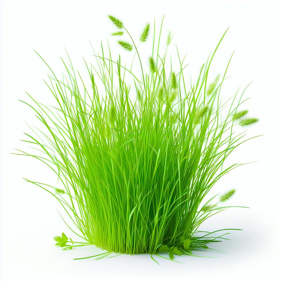 AI generated Vibrant green grass standing alone against a white background photo