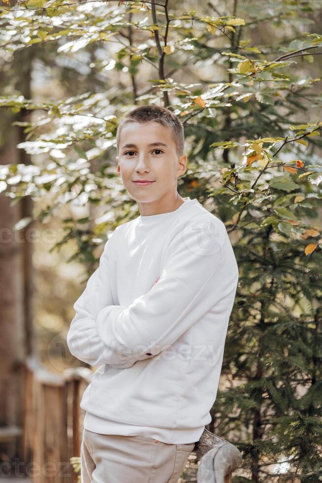 Close-up vertical portrait of a teenager in a white sweater and brown pants. Happy smiling teenager in summer park in sunlight. A beautiful child is looking at the camera in the clearing. photo