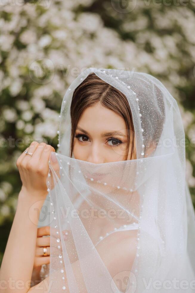 Red-haired bride in a lush dress with an open bust, posing wrapped in a veil, against the background of flowering trees. Spring wedding in nature. photo