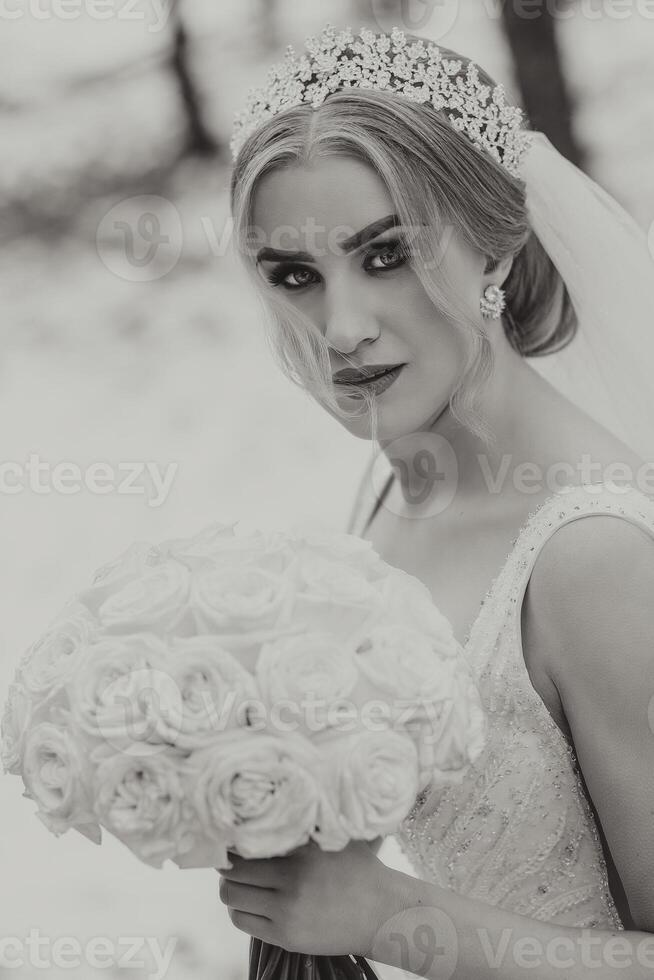 Wedding black and white portrait. The bride in an elegant dress, a long veil, holds a bouquet and walks in the winter garden during a walk. photo