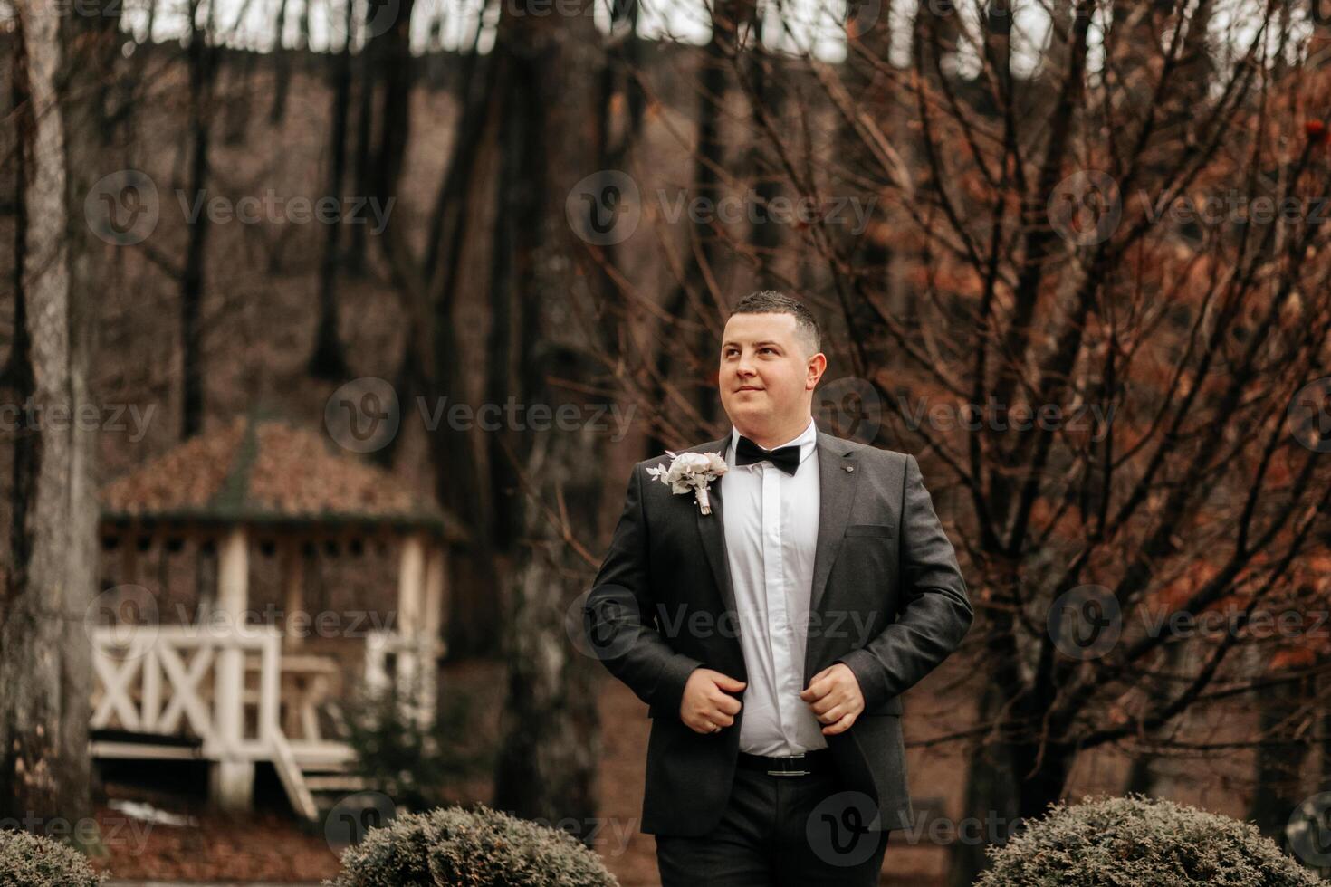 portrait of a handsome and manly groom in a black suit with a tie. Groom in nature in the winter season. photo