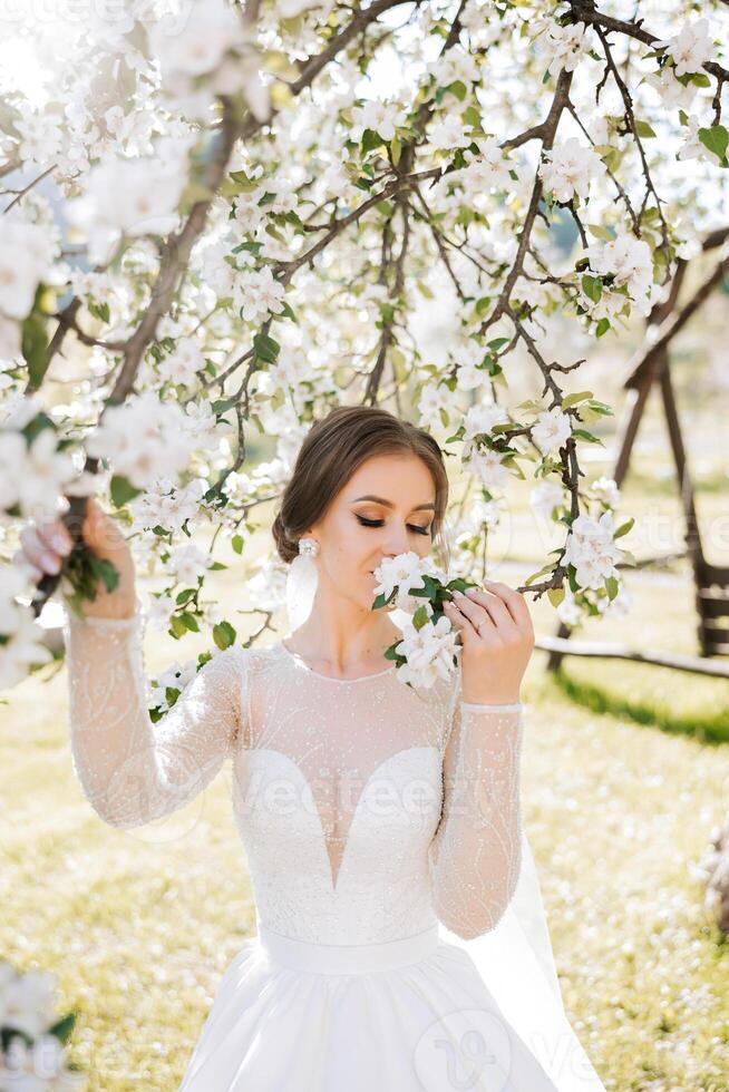 A red-haired bride poses against the background of a blooming tree. Magnificent dress with long sleeves, open bust. Spring wedding photo