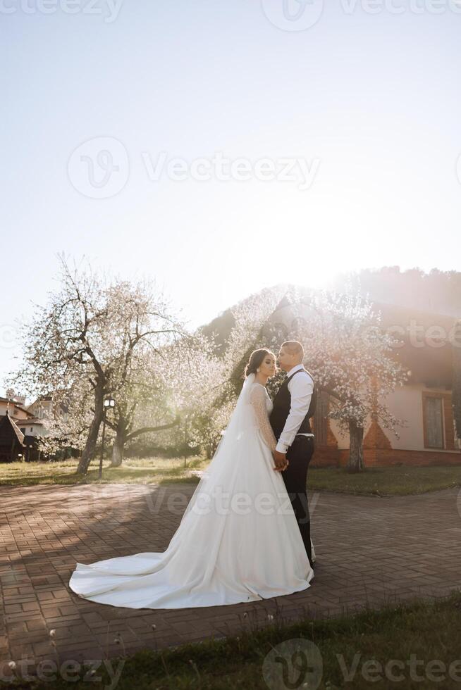 Wedding. Love and couple in garden for wedding. Celebration of ceremony and commitment. Save the date. Trust. The groom embraces the bride against the background of spring blossoming trees. photo