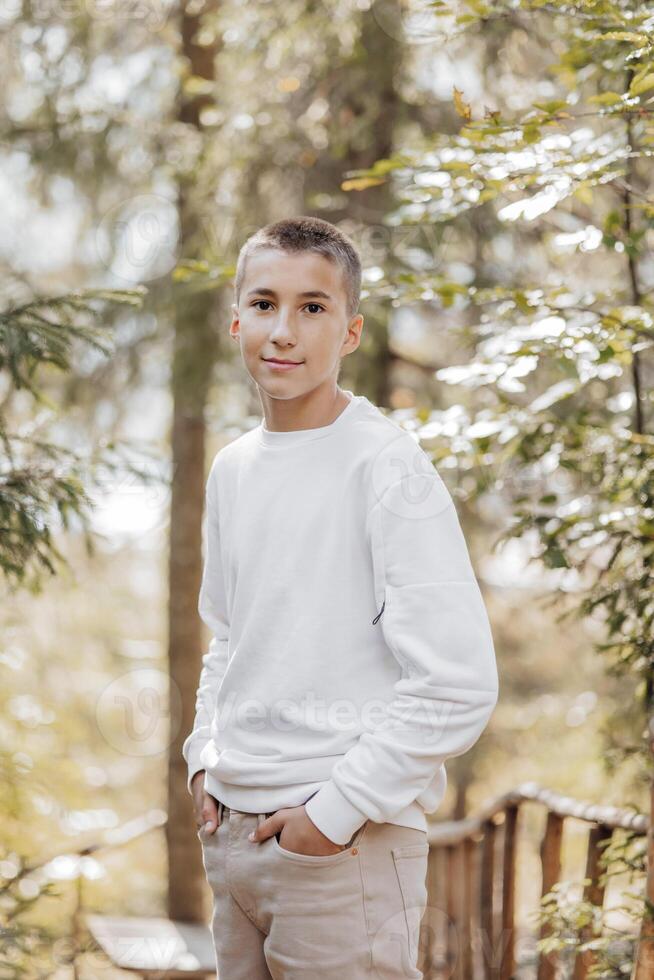 Close-up vertical portrait of a teenager in a white sweater and brown pants. Happy smiling teenager in summer park in sunlight. A beautiful child is looking at the camera in the clearing. photo