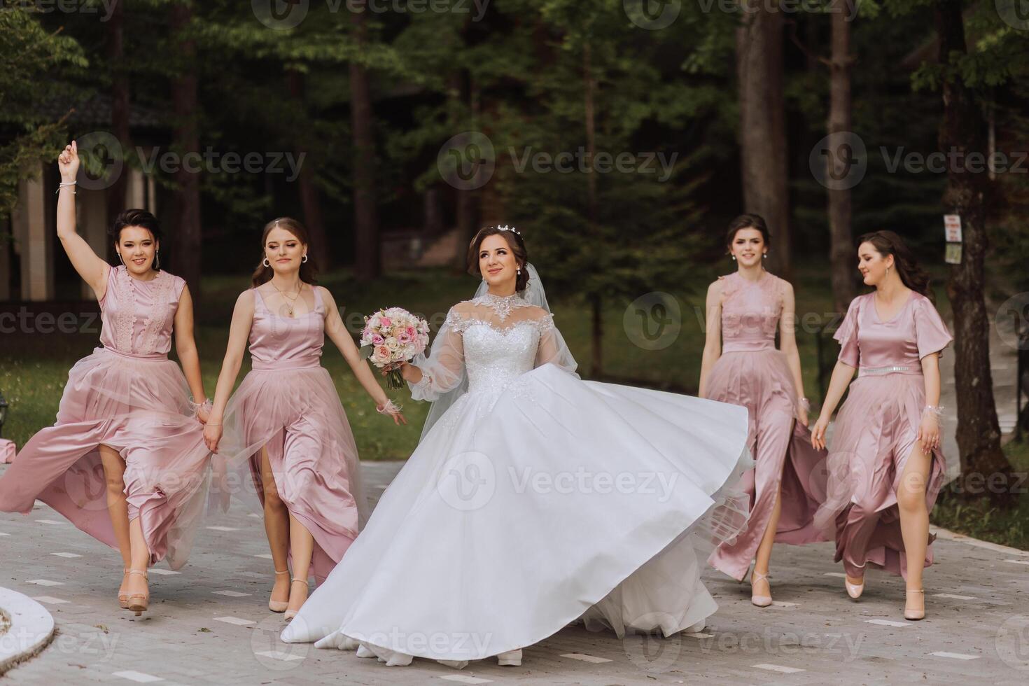 Group portrait of the bride and bridesmaids. Bride in a wedding dress and bridesmaids in pink or powder dresses and holding stylish bouquets on the wedding day. photo