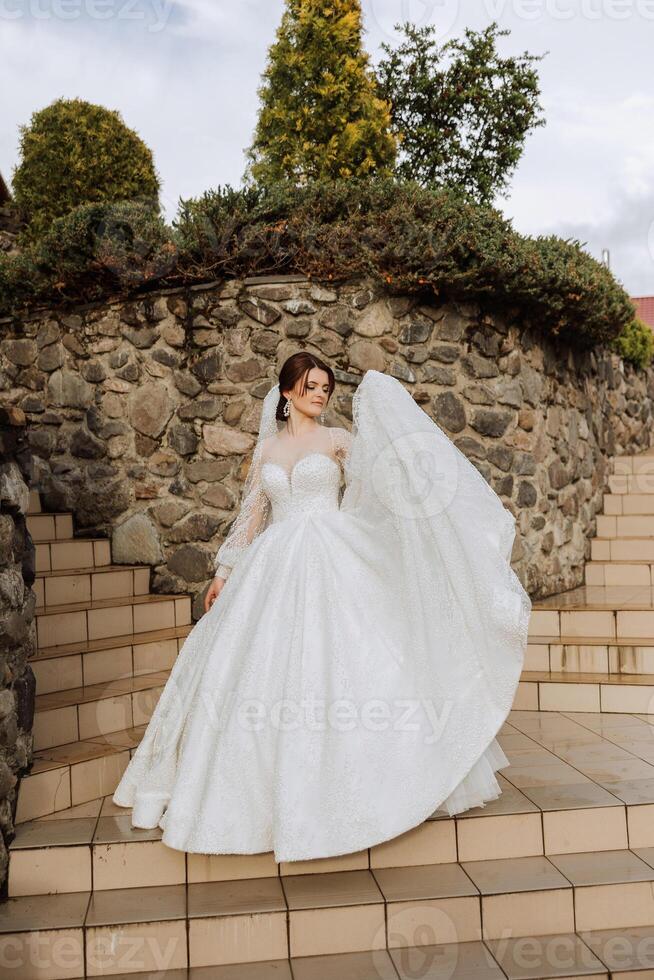 el novia en un magnífico vestir y velo, posando cerca un Roca pared. magnífico vestir con largo mangas, abierto busto. verano Boda foto