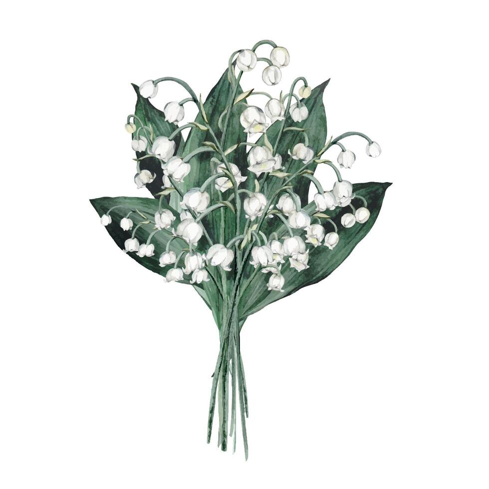 Watercolor arrangement with bouquets of delicate spring lilies of the valley. Design for printing postcards, invitations to spring and summer holidays. isolated white spring flowers hand drawn vector