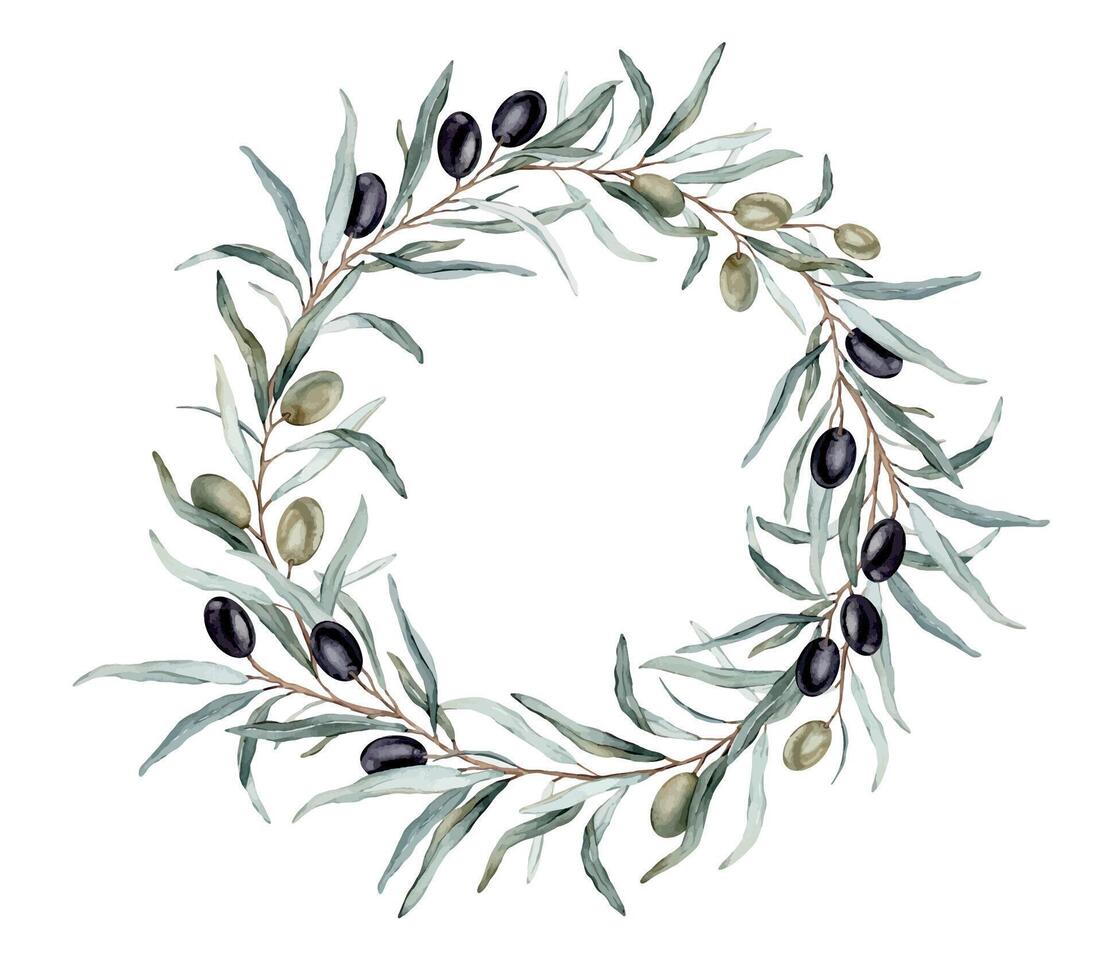 Watercolor olive branch round wreath with black and green fruit and green leaves. Hand drawn botanical composition illustration natural circle frame isolatedon white background. Design for menu card. vector