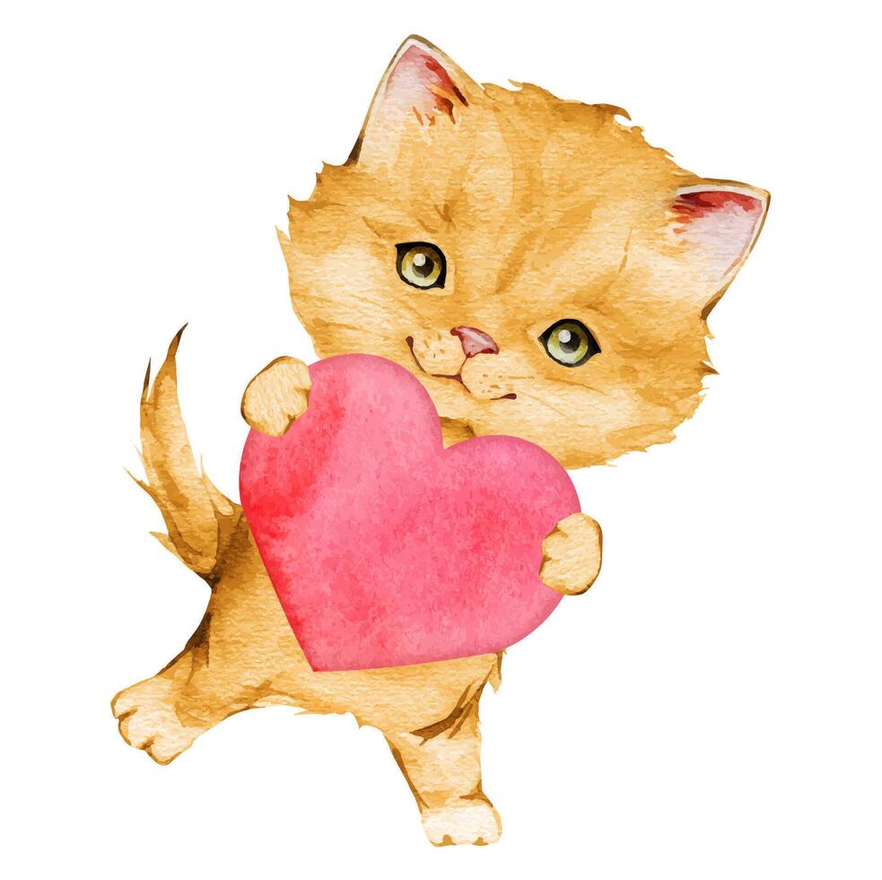 Watercolor red kitten and red heart. A pink heart in the paws of a cat. A postcard with a red fluffy cat for Valentine's Day. Hand drawing illustration on isolate white background. vector