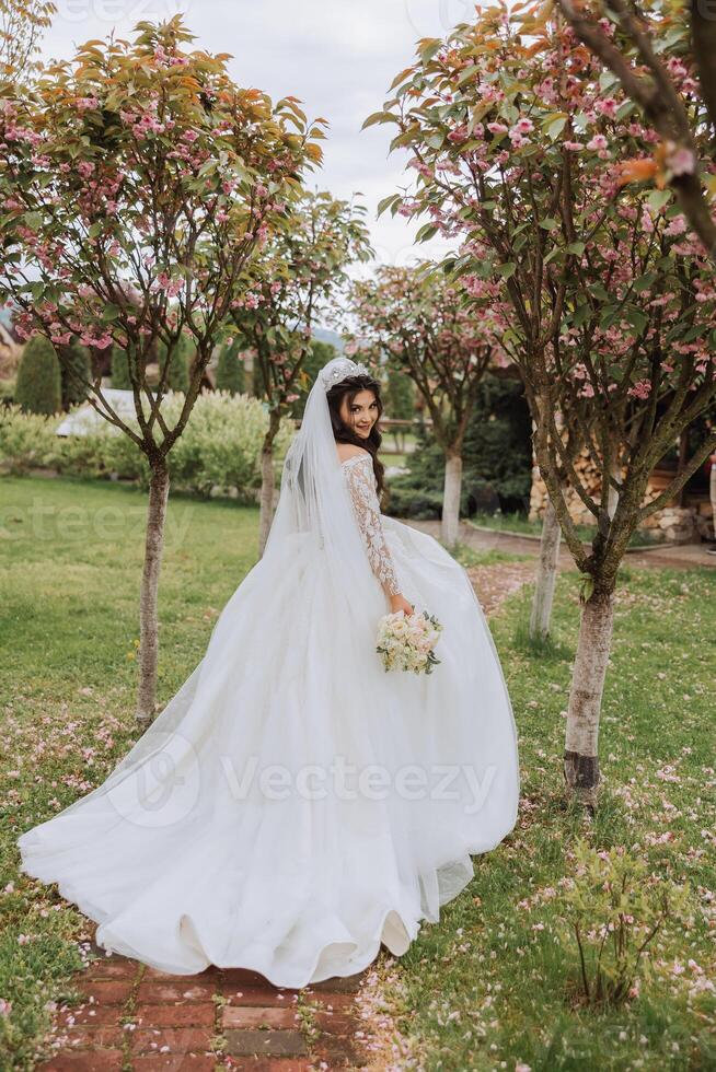 Rizado morena novia en un lozano velo y manga larga vestir poses cerca Cereza flores primavera Boda foto