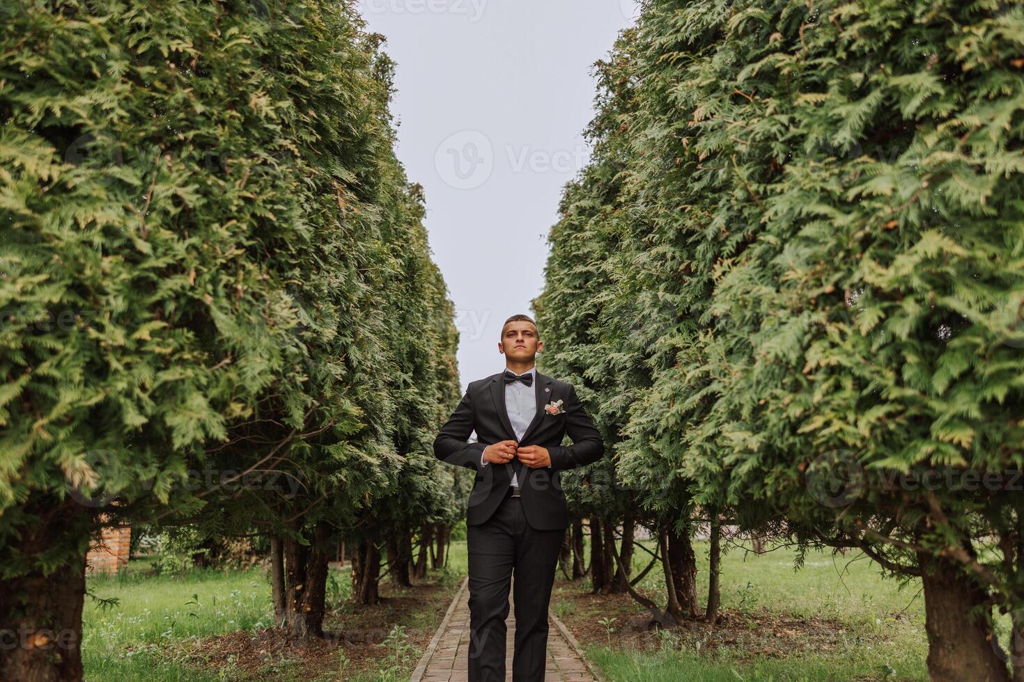 The groom in a black suit adjusts his jacket, poses against the background of a green tree. Wedding portrait. photo