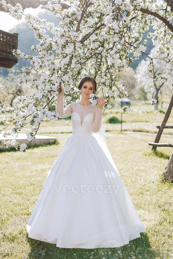 A red-haired bride poses against the background of a blooming tree. Magnificent dress with long sleeves, open bust. Spring wedding photo