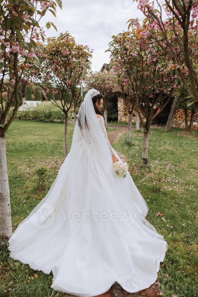 Rizado morena novia en un lozano velo y manga larga vestir poses cerca Cereza flores primavera Boda foto