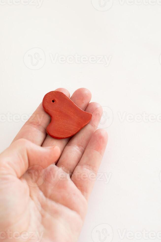 Organ donation for transplantation. Human hand with a small heart shaped piece photo