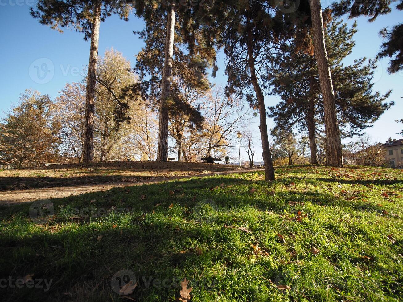 Cavour de giardini en Turín foto