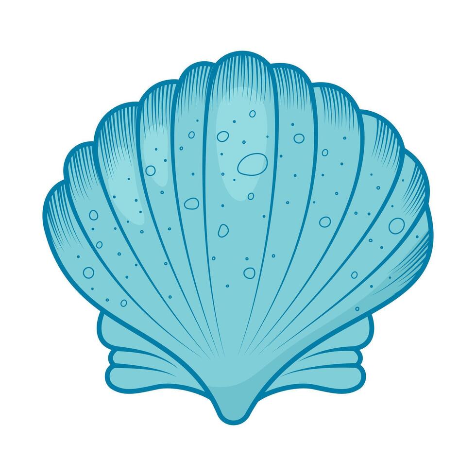 sea shell illustration vector