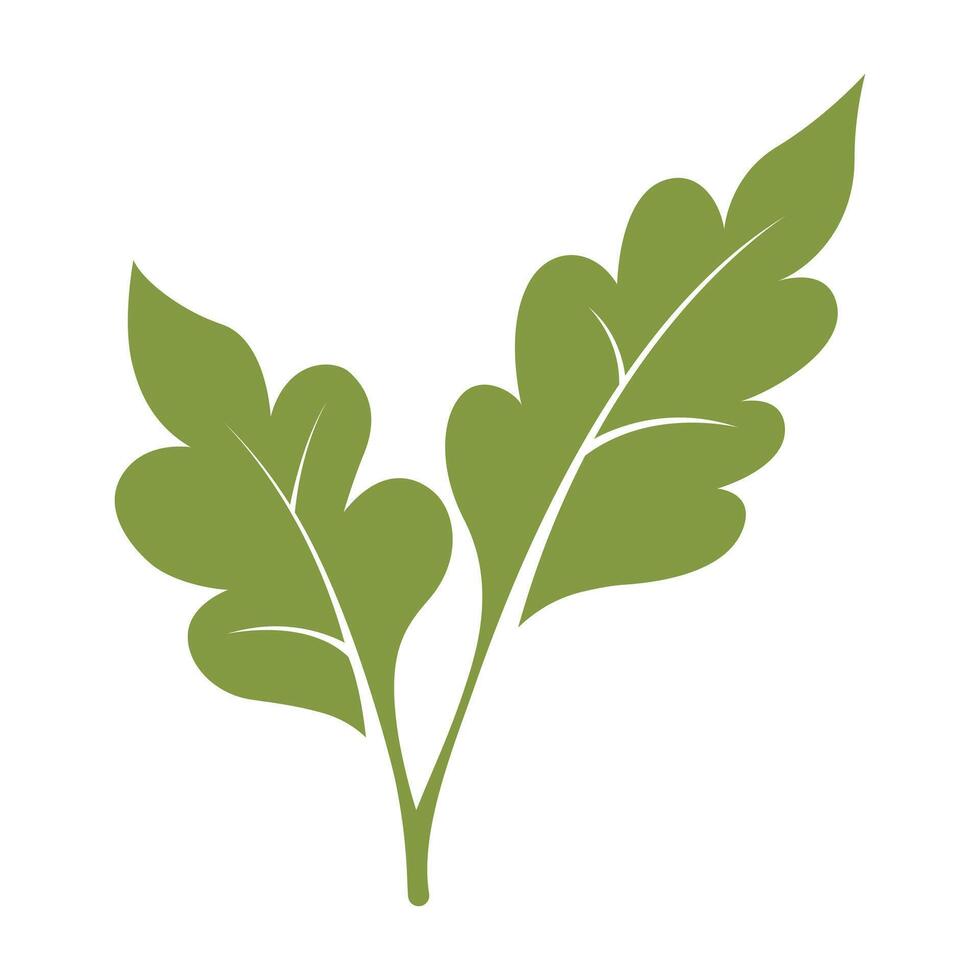 green leaf vector illustration