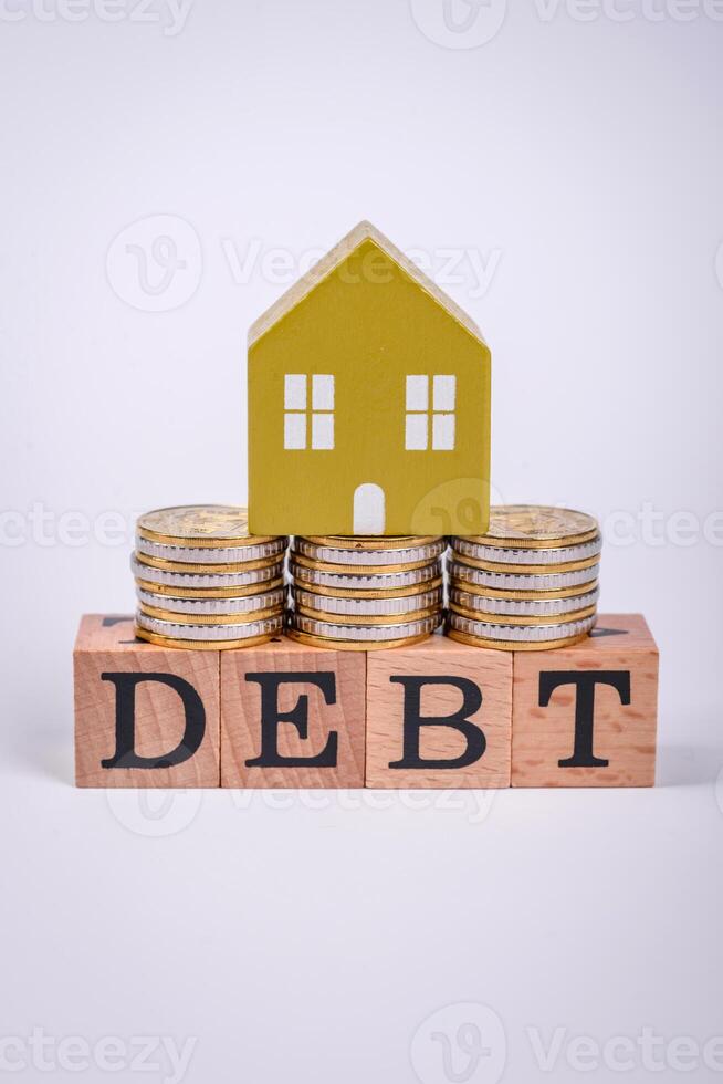 The inscription Debt inspection made of wooden cubes on a plain background photo