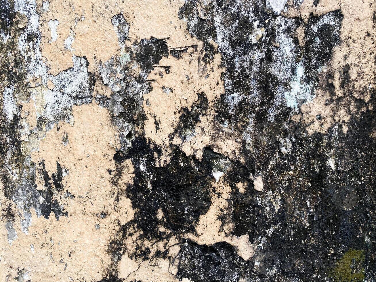 Dark concrete texture with a stucco finish on a white background. photo