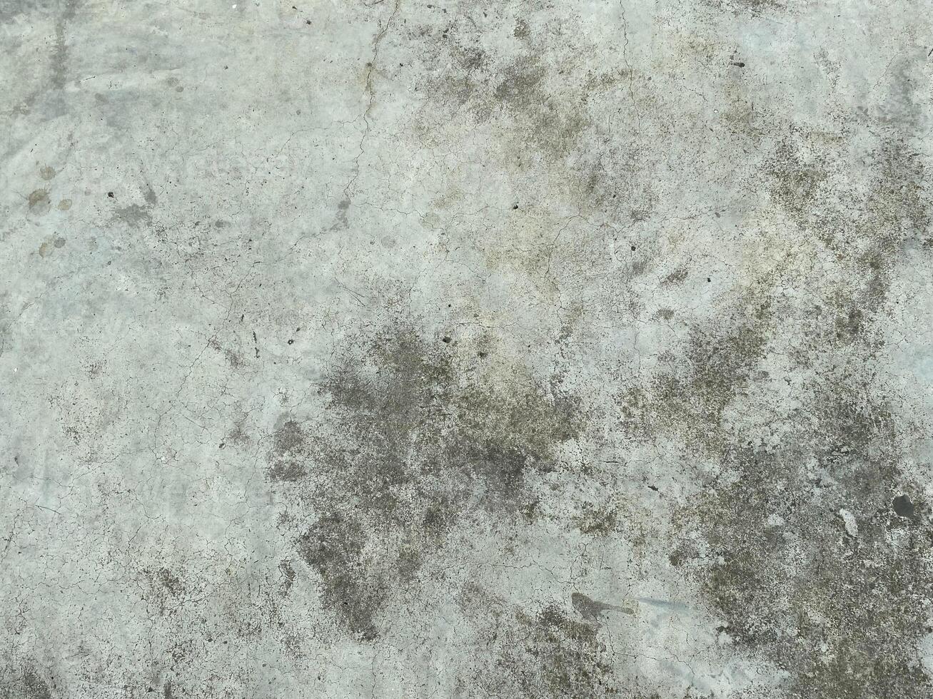 The intricate patterns on the cement wall create a mesmerizing abstract design. photo