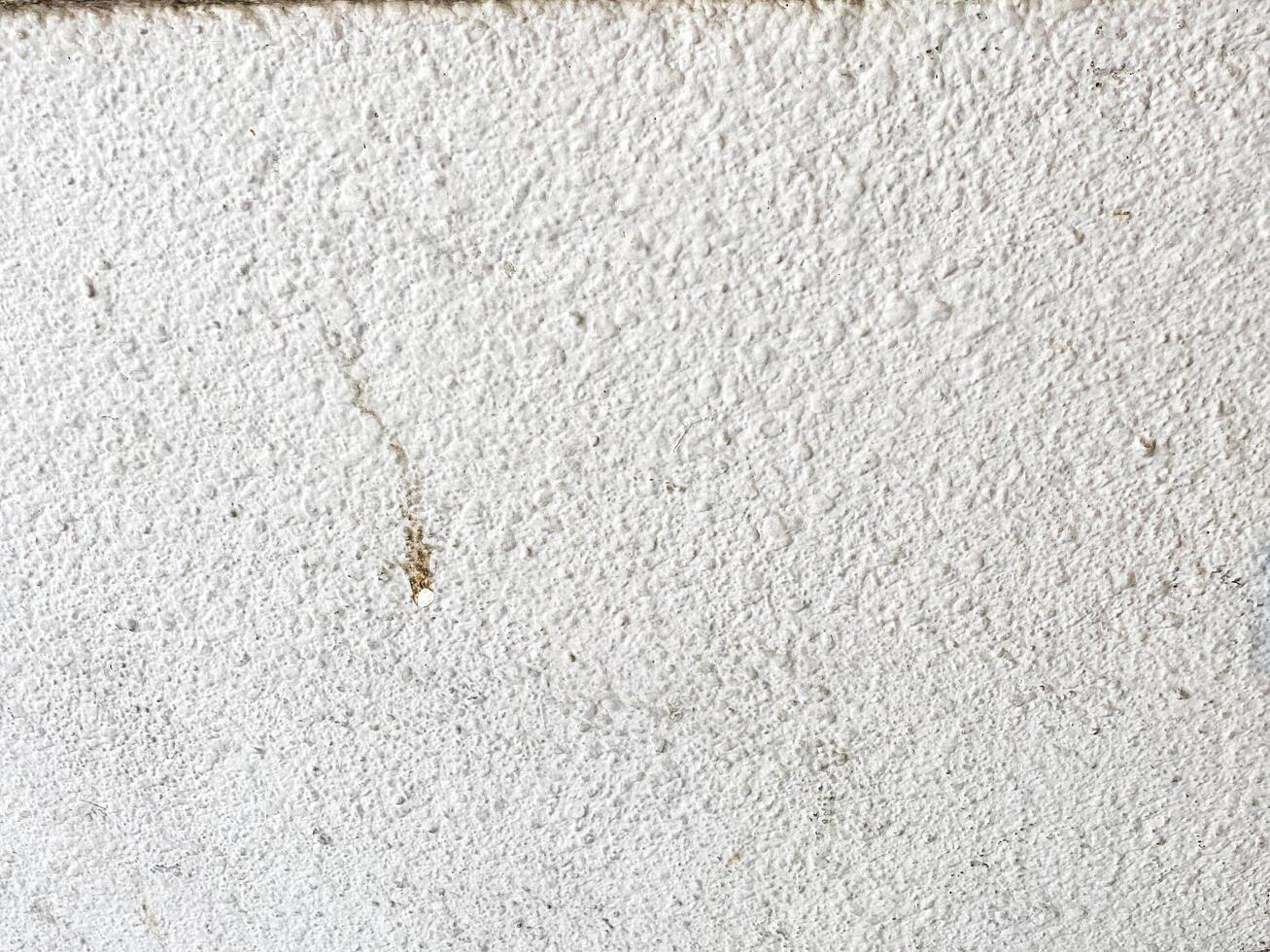 The gray concrete background serves as a timeless and classic design element. photo