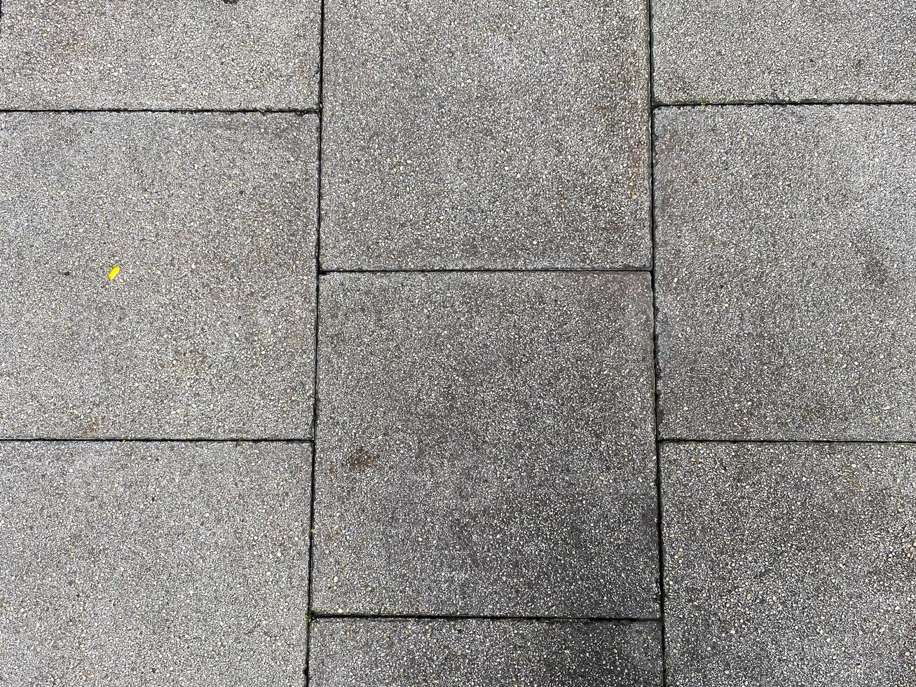 The stone-like texture of the concrete background lends a sense of authenticity. photo