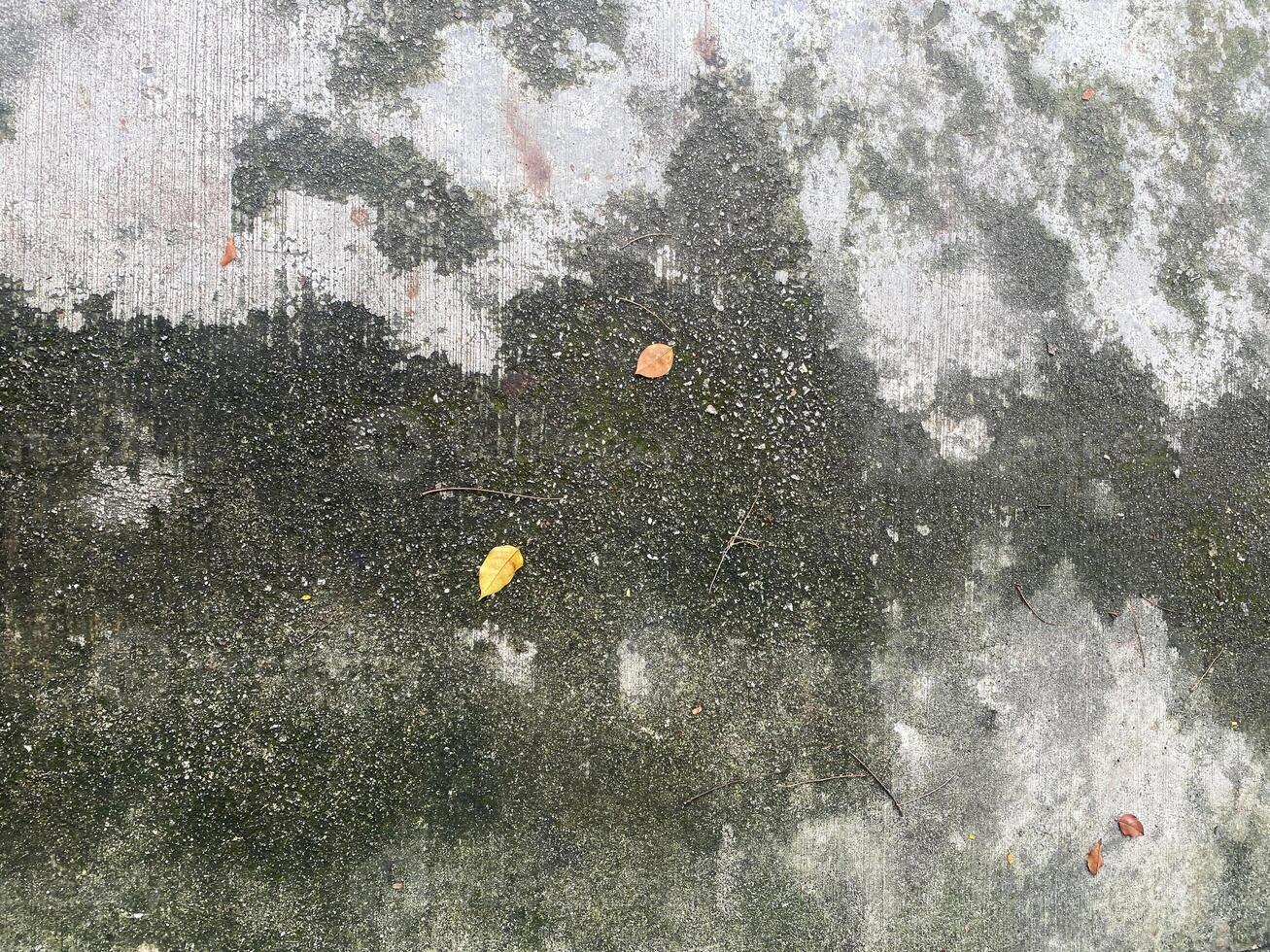 Rough and grunge background with a blank gray texture. photo