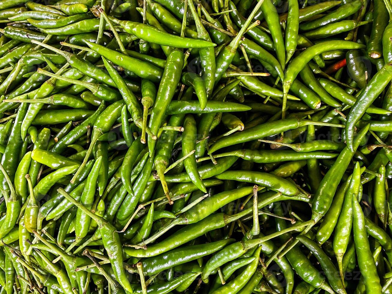 Backdrop of green chilli peppers texture background. Close up view with copy space for design photo