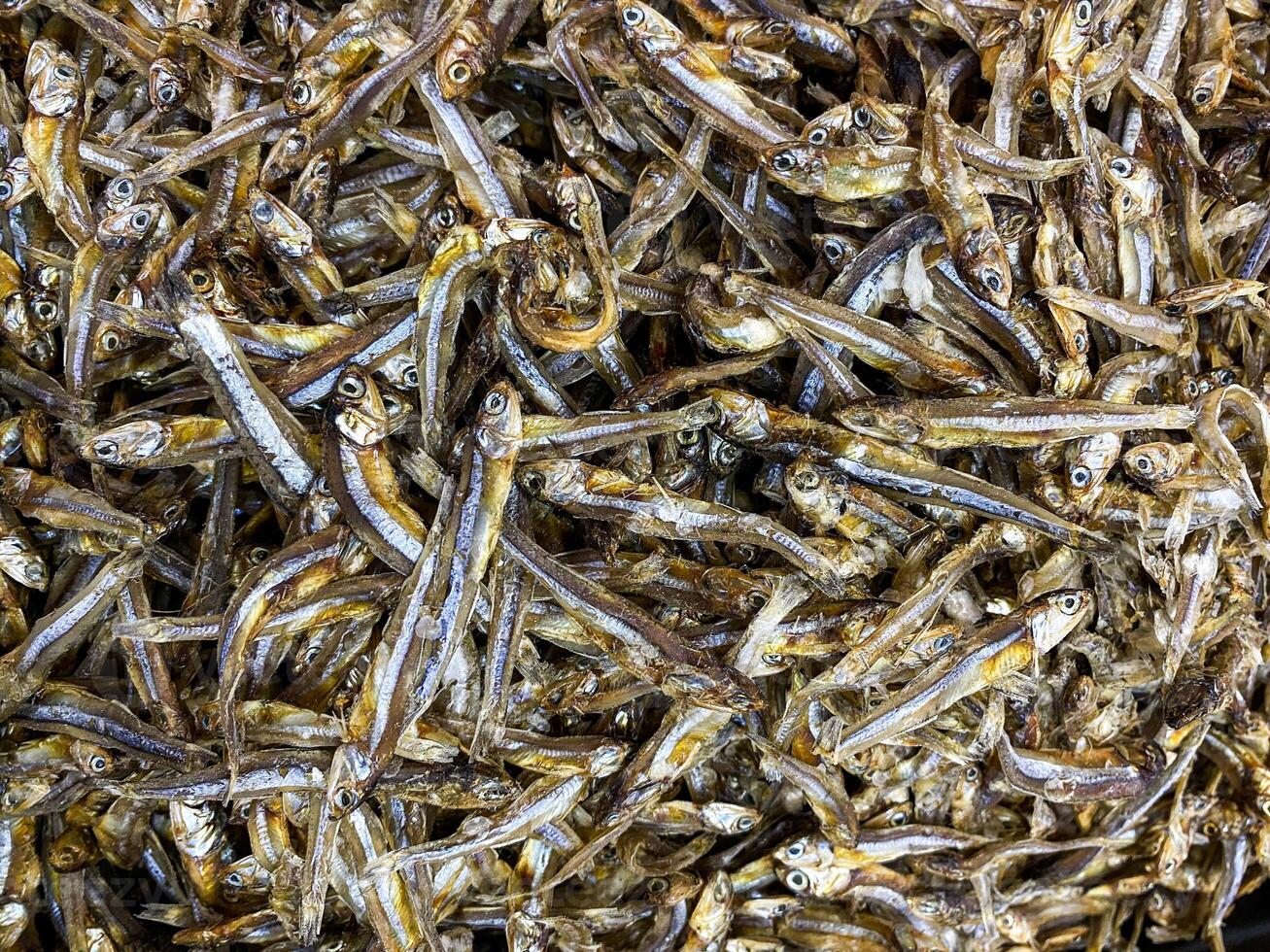 Beautiful top view of Dried anchovy texture background. Seafood in the market. photo