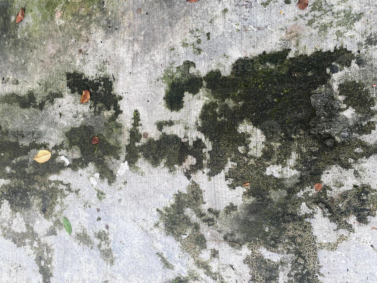 Rough and grunge background with a blank gray texture. photo