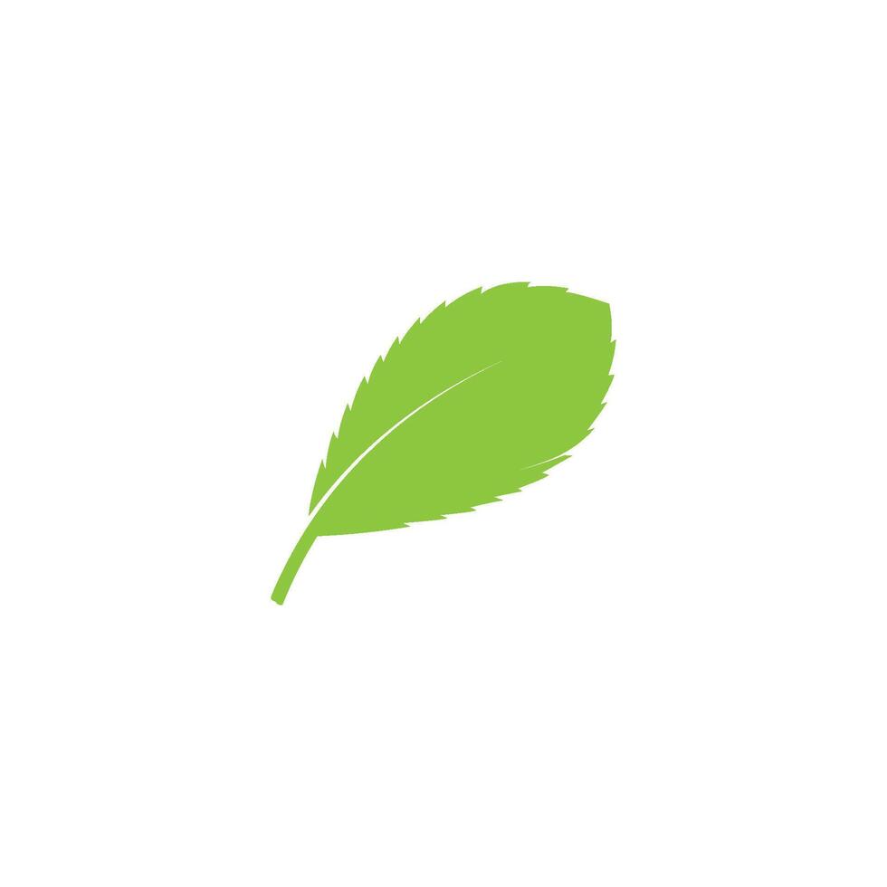 Logos of green leaf ecology nature element vector icon