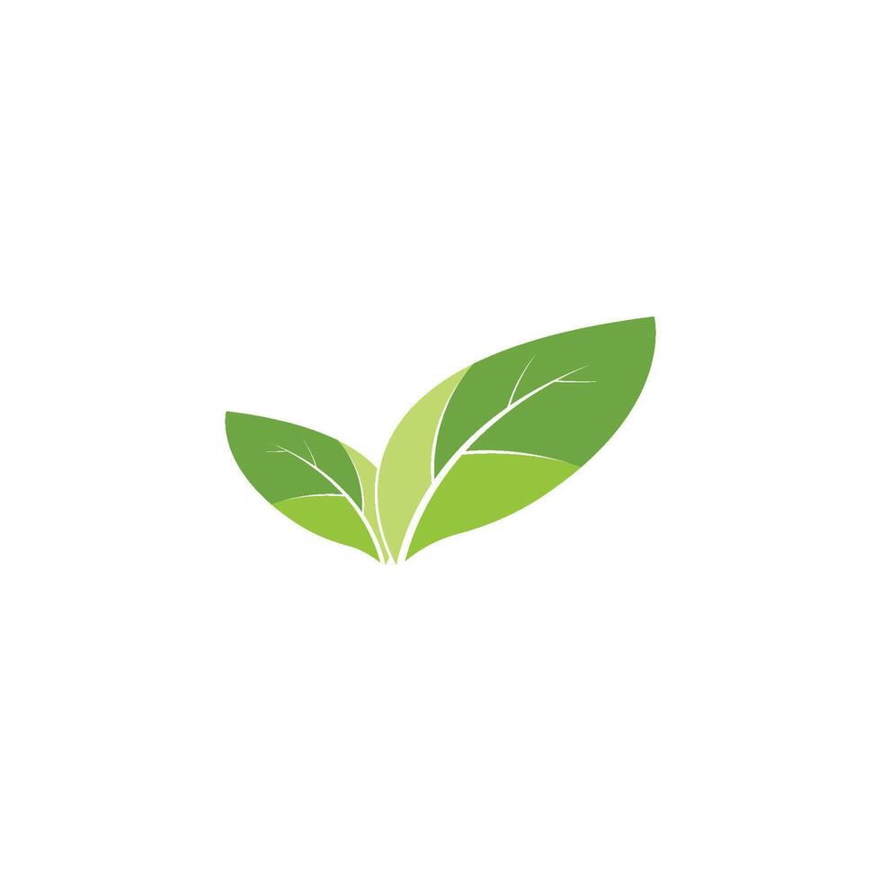 Logos of green leaf ecology nature element vector icon