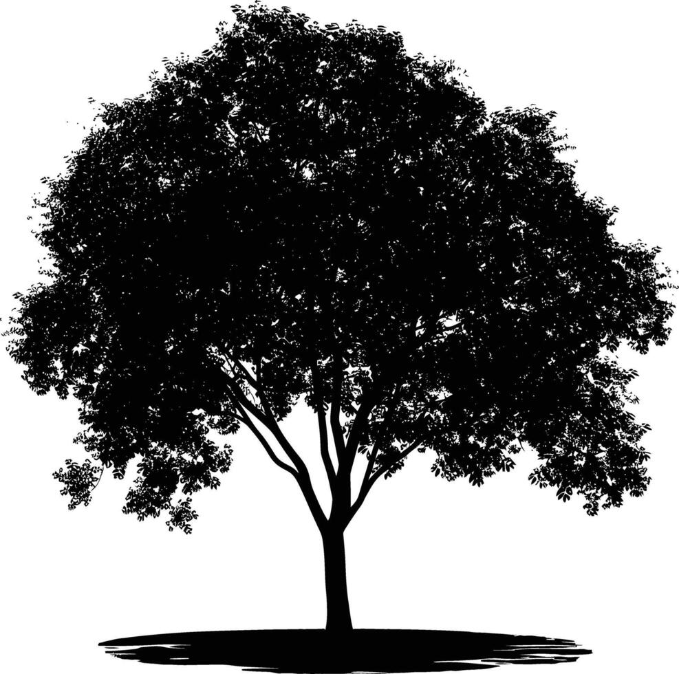 AI generated Silhouette tree nature black color only vector