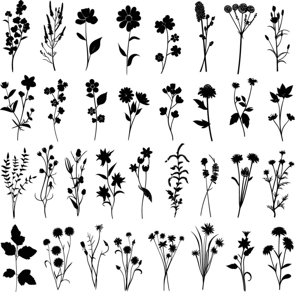 AI generated Silhouette spring flower collection black color only vector