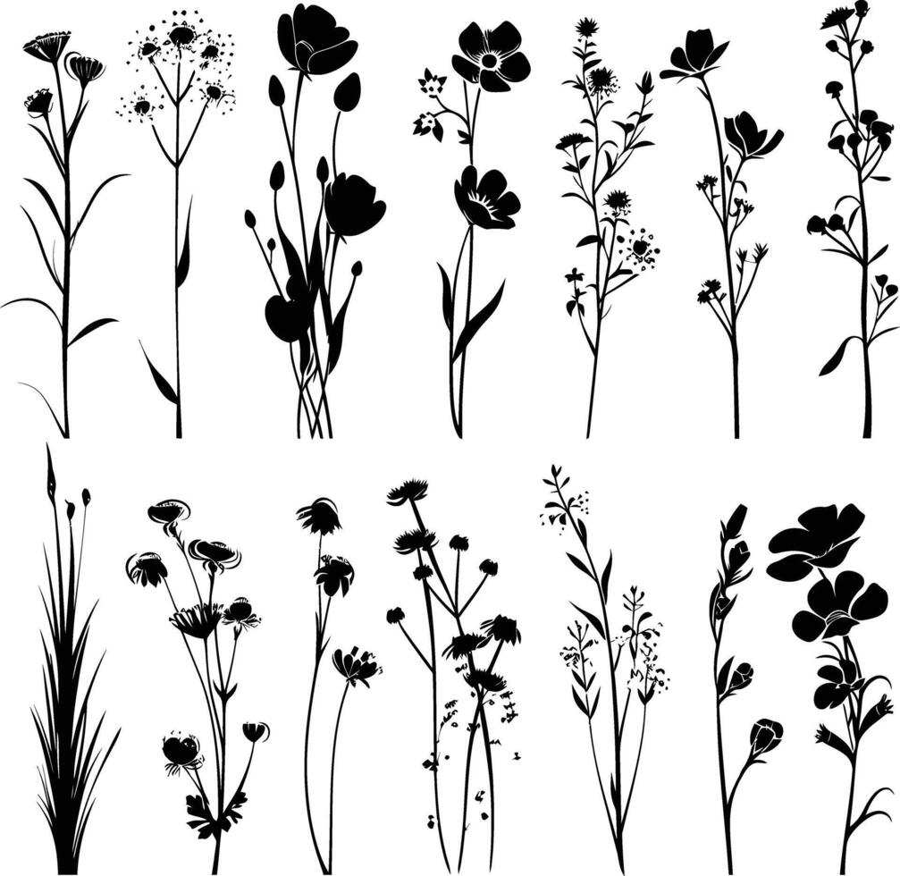 AI generated Silhouette spring flower collection black color only vector