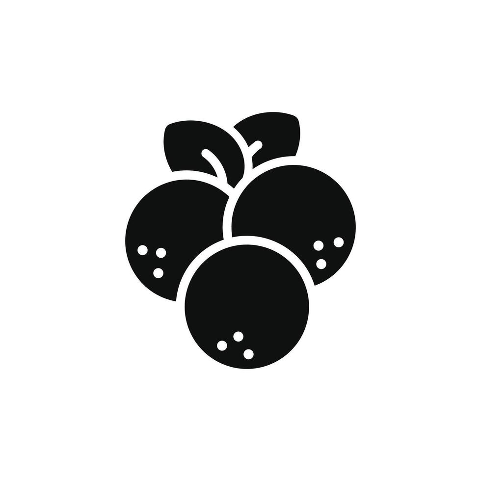 Longan icon isolated on white background vector