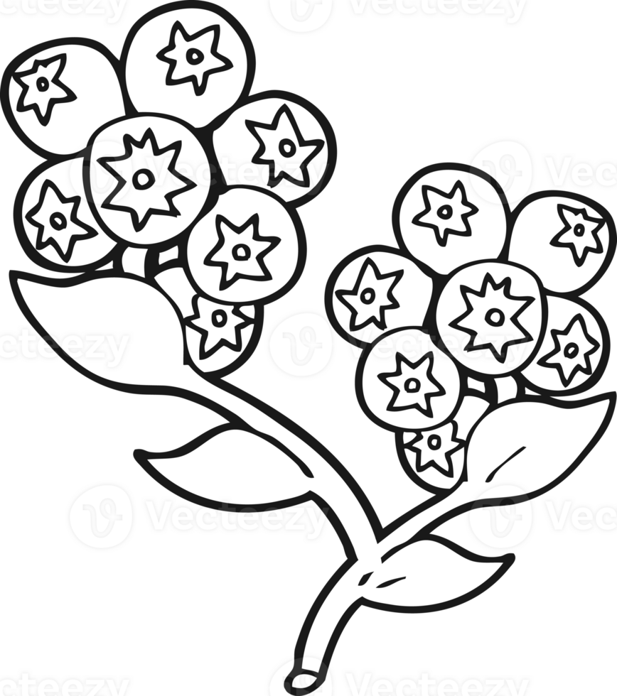 black and white cartoon blueberries png