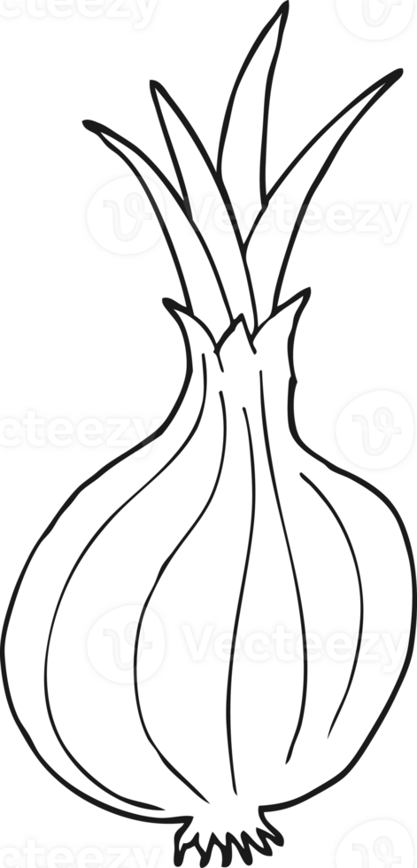 black and white cartoon onion png