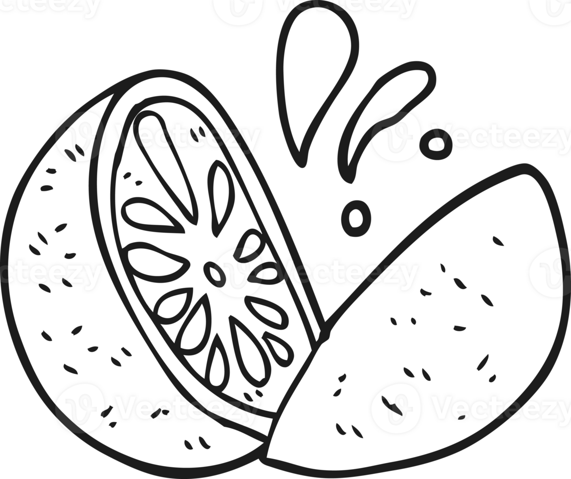 black and white cartoon melon png
