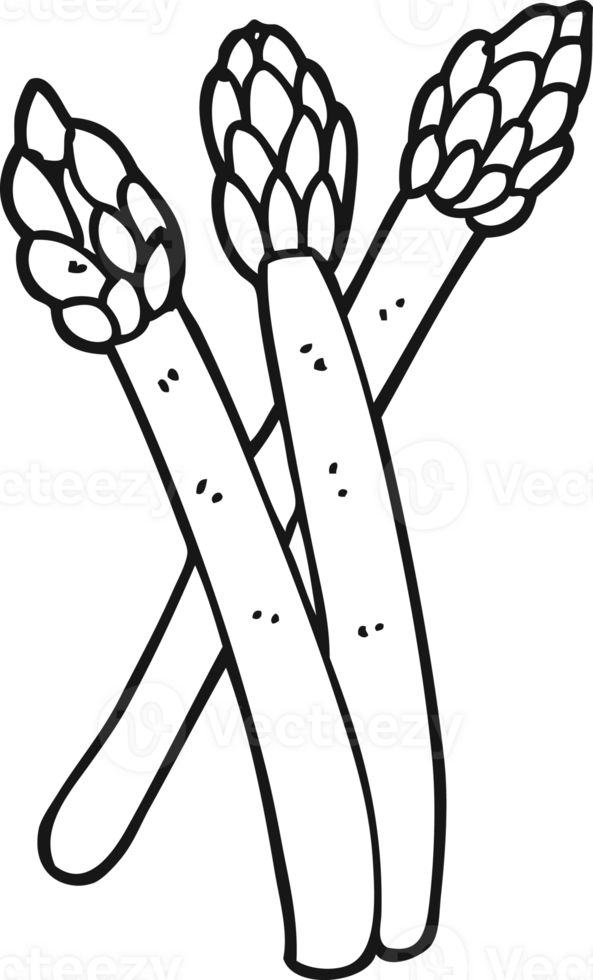 black and white cartoon asparagus png