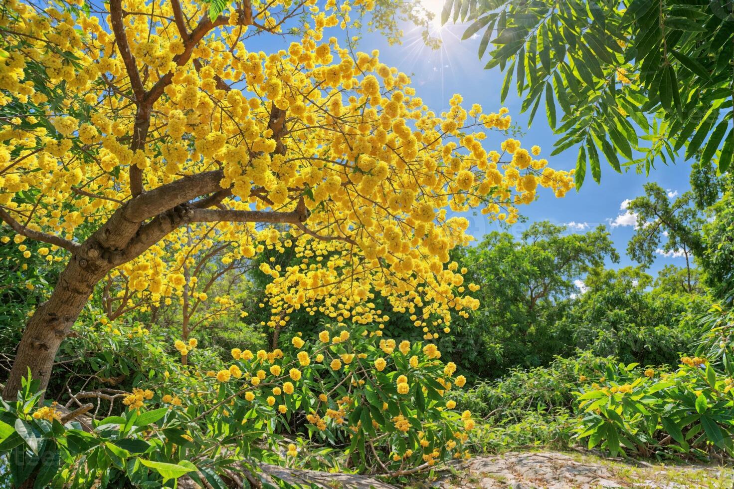 AI generated A mimosa tree in full bloom, its branches laden with fluffy yellow flowers and rich green foliage, set in a serene garden setting, symbolizing joy and renewal, bright and lively photo