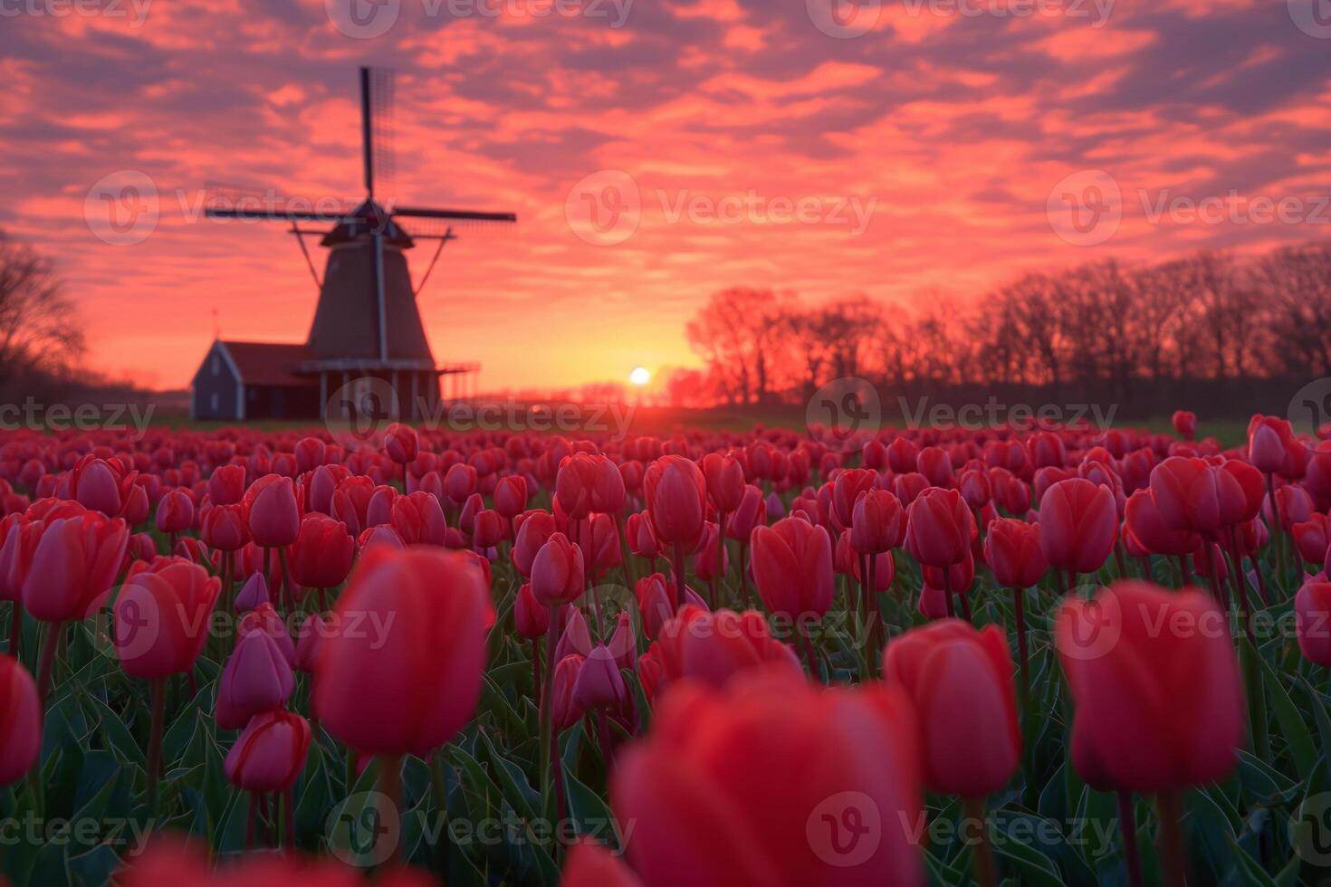 AI generated Colorful tulips against a classic Dutch windmill and moody, cloudy sky. photo