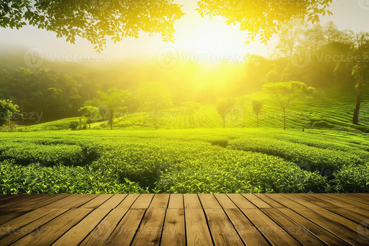 AI generated Wood floor on green tea leaf plantation in morning, blurred background. Fresh green tea leaves. Green tea plantations sunrise. Freshness organic tea garden background. photo