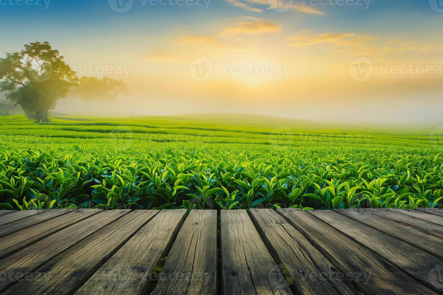 AI generated Wood floor on green tea leaf plantation in morning, blurred background. Fresh green tea leaves. Green tea plantations sunrise. Freshness organic tea garden background. photo