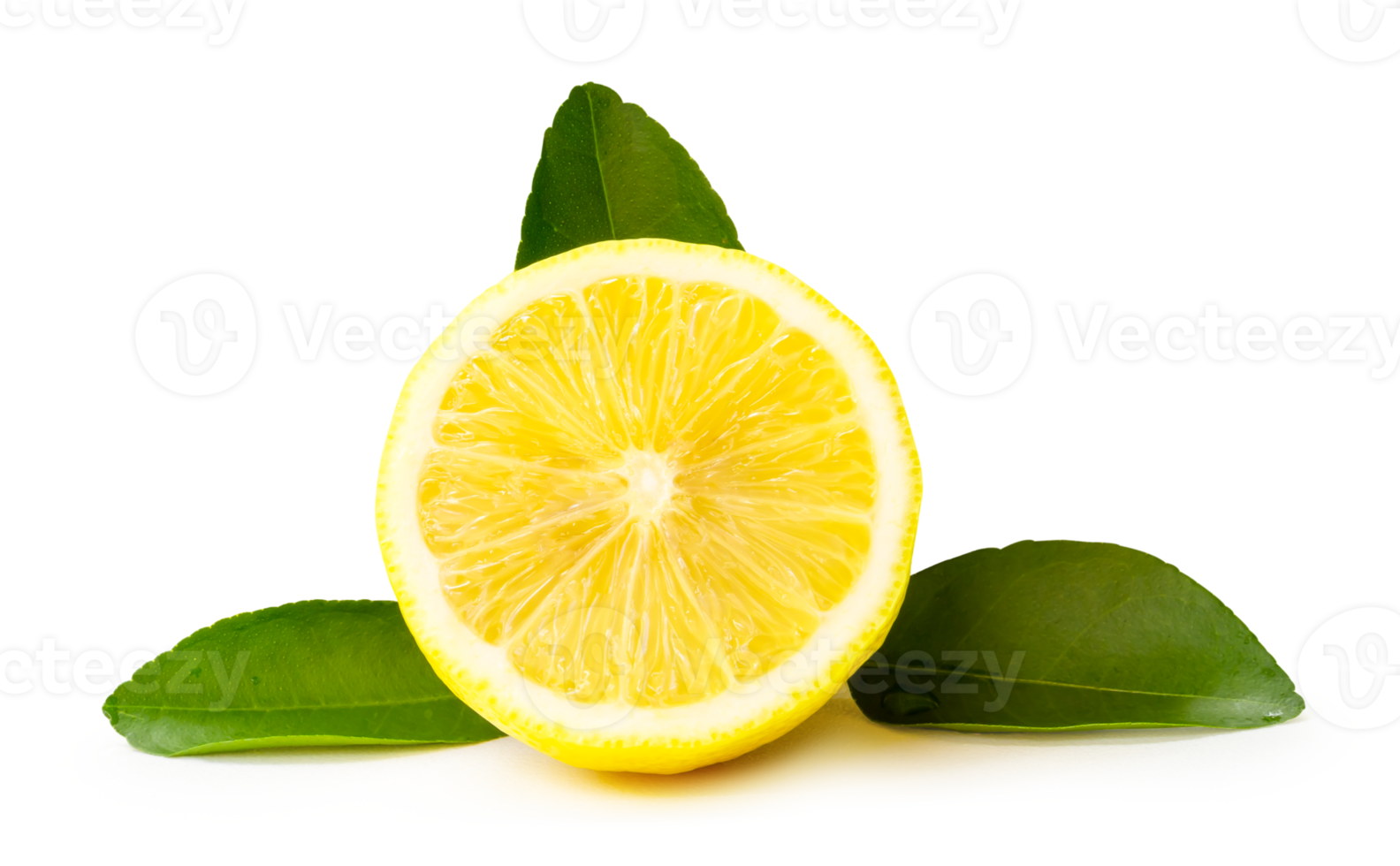 Front view of fresh yellow lemon half with leaves isolated with clipping path and shadow in png file format