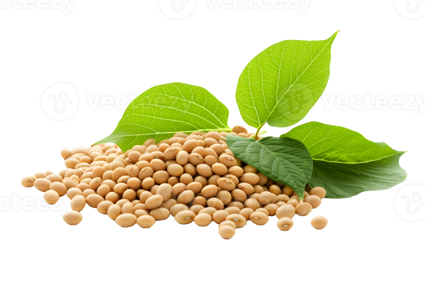 AI generated Soybean seeds with green leaves PNG