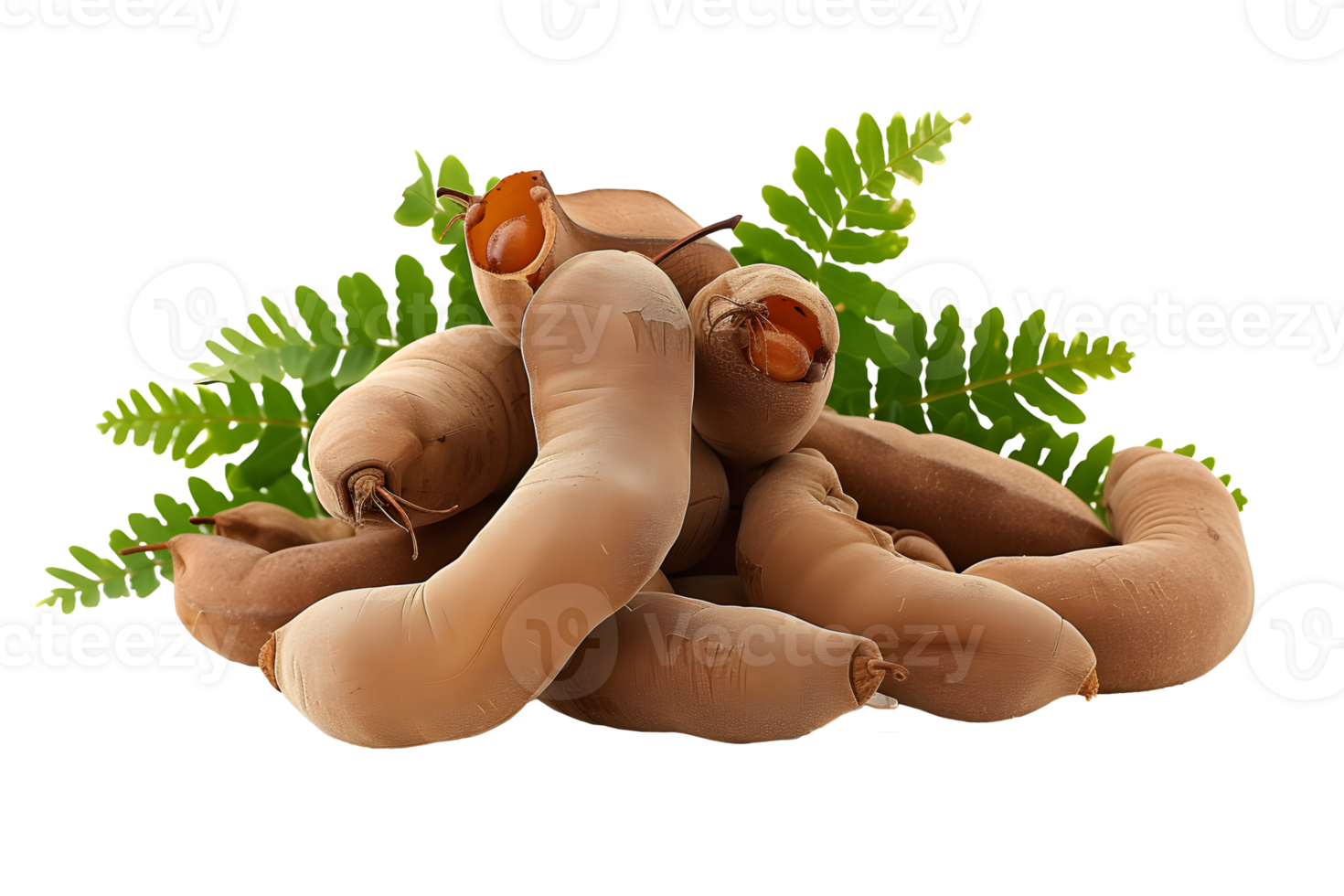 AI generated Tamarind with leaves isolated PNG