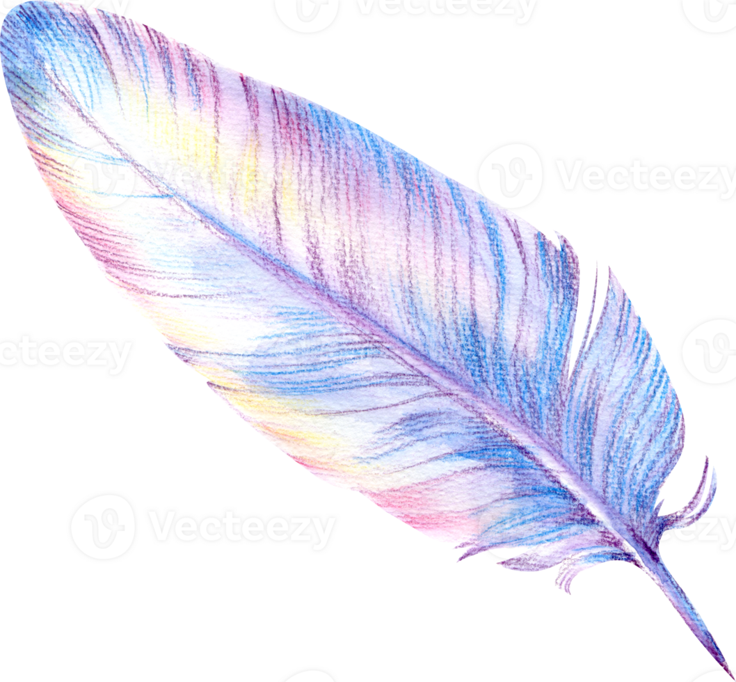 Boho Detailed Watercolor Feather Hand Painted Elegant element png